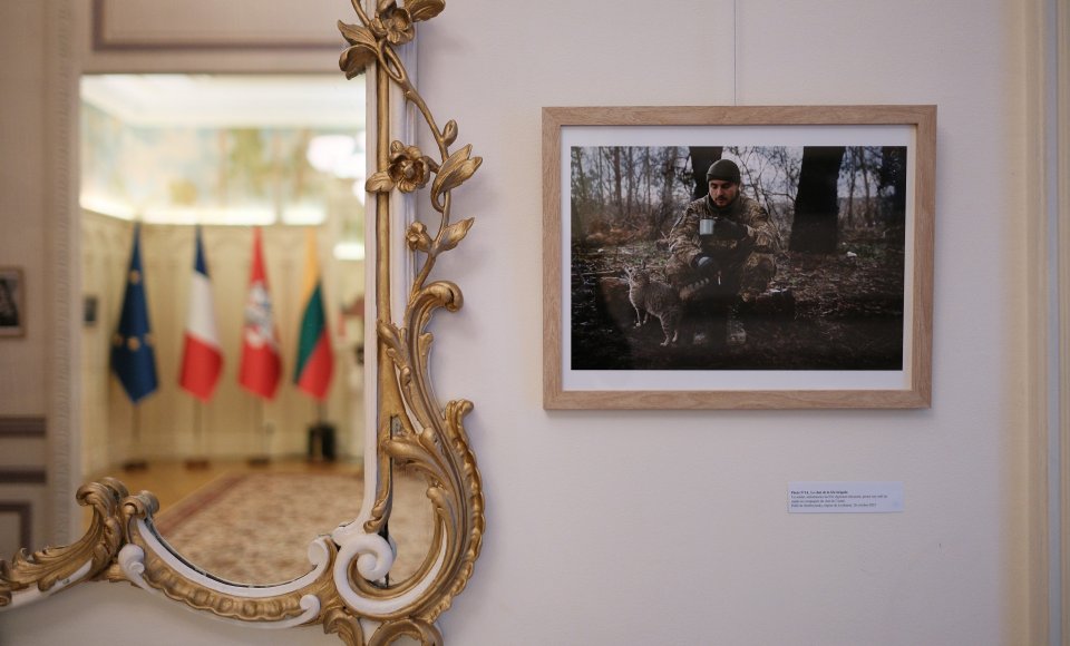 Lietuvos ambasadoje Prancūzijoje pristatyta fotografės Gaëlle Girbes paroda „Katės kare“ – jautrus karo Ukrainoje liudijimas