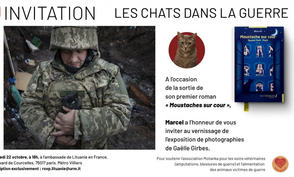 Invitation au vernissage de l’exposition de photographies de Gaëlle Girbes « Les chats dans la...